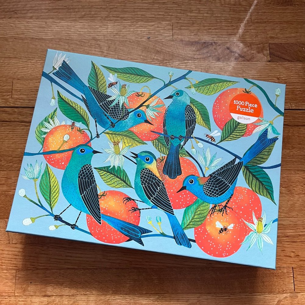 Galison 1000 Piece Puzzle Naranjas